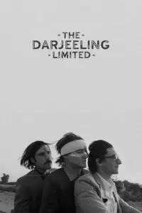 Poster to the movie "The Darjeeling Limited" #712425