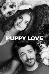 Poster to the movie "Puppy Love" #532132