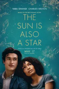 Poster to the movie "The Sun Is Also a Star" #248859