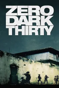 Poster to the movie "Zero Dark Thirty" #248584