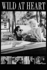 Poster to the movie "Wild at Heart" #614407