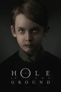 Poster to the movie "The Hole in the Ground" #135679