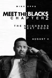 Poster to the movie "The House Next Door: Meet the Blacks 2" #151491