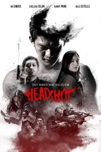 Poster to the movie "Headshot" #285411