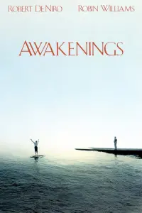 Poster to the movie "Awakenings" #100567