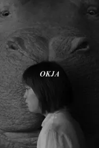 Poster to the movie "Okja" #551597