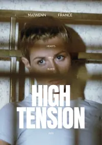 Poster to the movie "High Tension" #680901