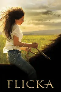 Poster to the movie "Flicka" #154377