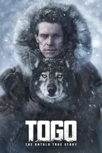 Poster to the movie "Togo" #61350