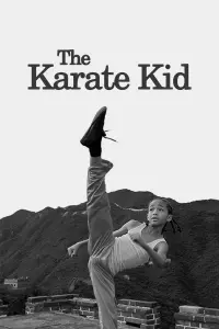 Poster to the movie "The Karate Kid" #281711