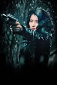 Poster to the movie "Lady Vengeance" #208191