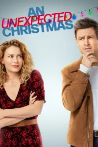 Poster to the movie "An Unexpected Christmas" #144692