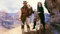 Backdrop to the movie "Two Mules for Sister Sara" #414106