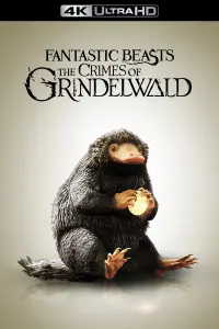 Poster to the movie "Fantastic Beasts: The Crimes of Grindelwald" #43177