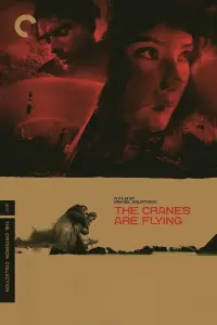 Poster to the movie "The Cranes Are Flying" #573744