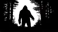 Backdrop to the movie "Sasquatch, the Legend of Bigfoot" #641641