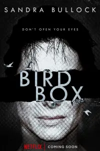 Poster to the movie "Bird Box" #65571