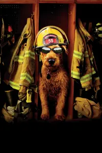 Poster to the movie "Firehouse Dog" #429246