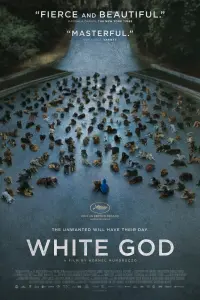 Poster to the movie "White God" #276211