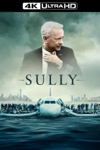 Poster to the movie "Sully" #234199