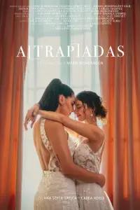 Poster to the movie "Atrapadas" #514023