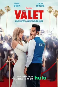 Poster to the movie "The Valet" #77867