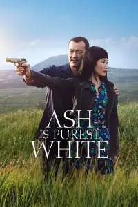 Poster to the movie "Ash Is Purest White" #355119