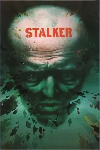 Poster to the movie "Stalker" #159921