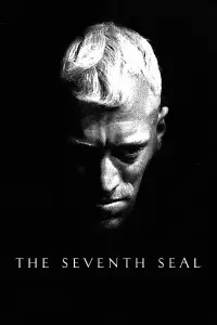 Poster to the movie "The Seventh Seal" #99365