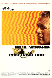 Poster to the movie "Cool Hand Luke" #102973