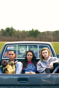 Poster to the movie "The Miseducation of Cameron Post" #251979