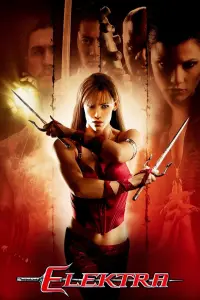 Poster to the movie "Elektra" #329662