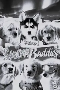 Poster to the movie "Snow Buddies" #613115