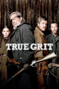 Poster to the movie "True Grit" #93865