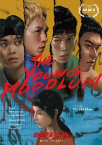 Poster to the movie "The Young Hoodlum" #199927