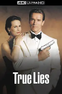 Poster to the movie "True Lies" #242867