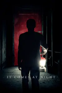 Poster to the movie "It Comes at Night" #135380