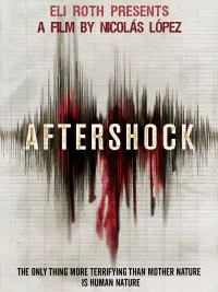 Poster to the movie "Aftershock" #348357