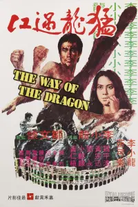 Poster to the movie "The Way of the Dragon" #220576