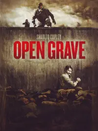 Poster to the movie "Open Grave" #346548