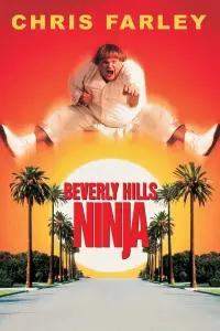 Poster to the movie "Beverly Hills Ninja" #124386