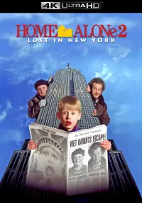 Poster to the movie "Home Alone 2: Lost in New York" #163492