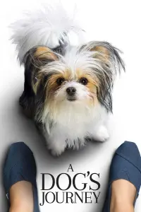 Poster to the movie "A Dog