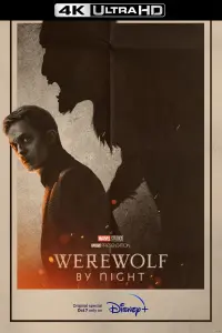 Poster to the movie "Werewolf by Night" #46217