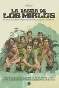 Poster to the movie "La danza de los Mirlos" #365674