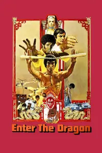 Poster to the movie "Enter the Dragon" #65971