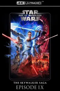 Poster to the movie "Star Wars: The Rise of Skywalker" #30795