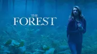 Backdrop to the movie "The Forest" #96155