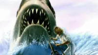 Backdrop to the movie "Jaws: The Revenge" #376461