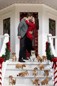 Poster to the movie "12 Pups of Christmas" #643293